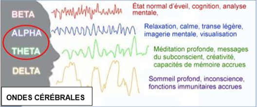 Différents types d'ondes cérébrales